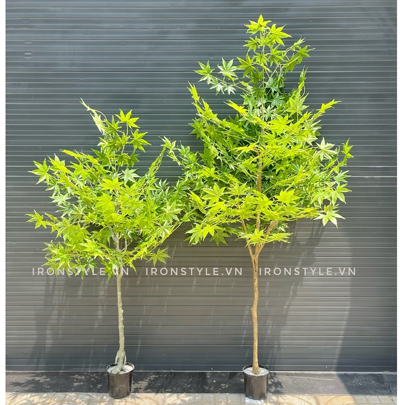 Cây phong giả lá xanh trang trí phong cách Bắc Âu