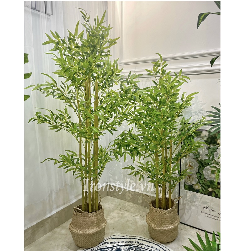 Chậu cây trúc giả kèm giỏ mây
