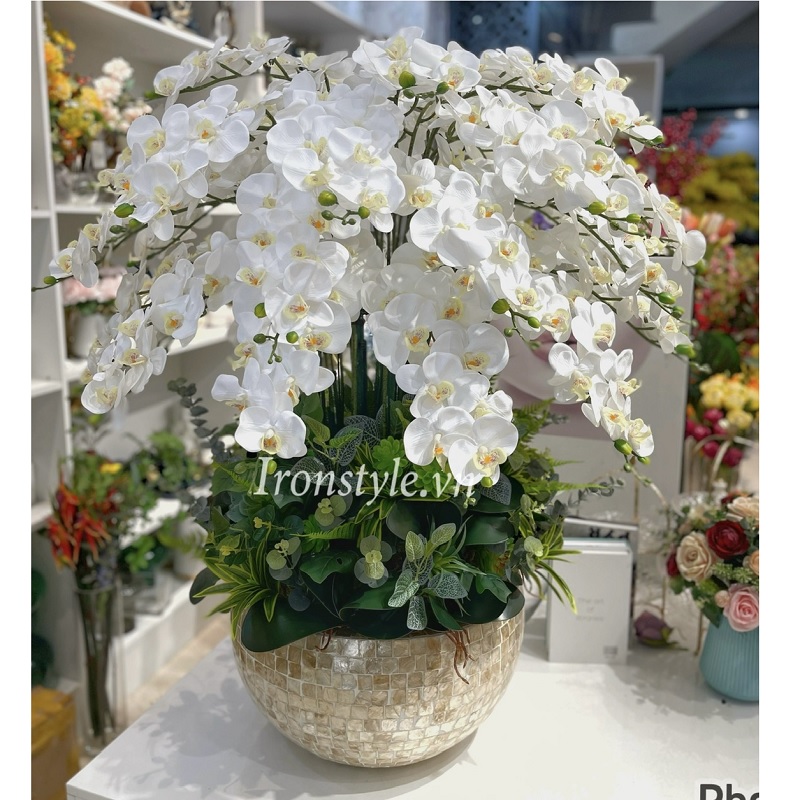 Chậu hoa lan hồ điệp cao su trắng khảm trai