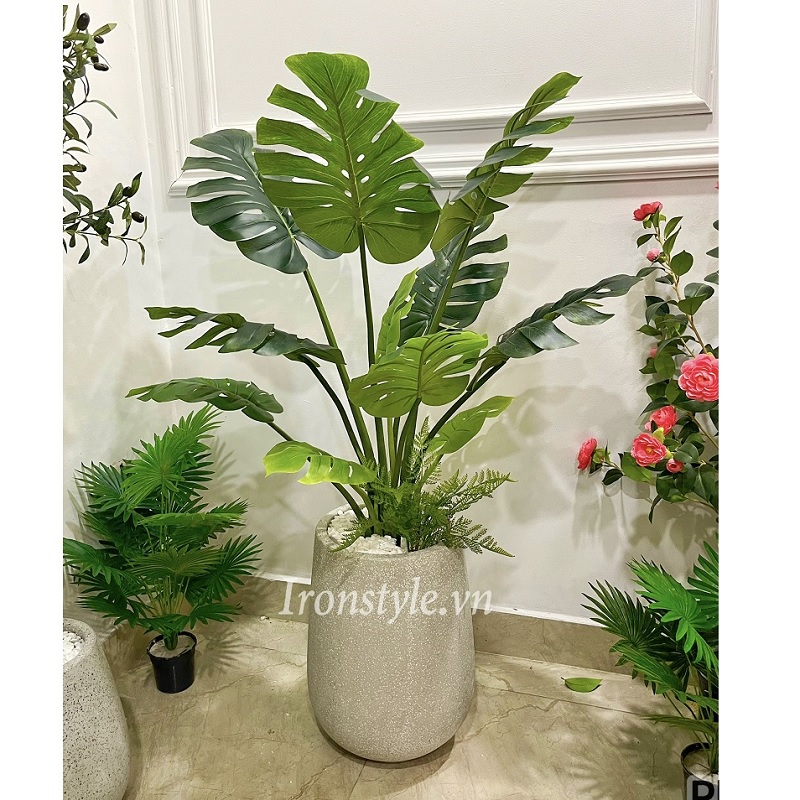Chậu cây lá xẻ giả bao gồm chậu 1m5