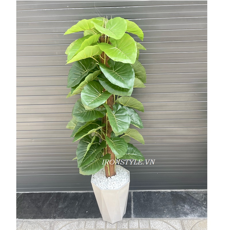 Chậu cây trầu bà giả trang trí