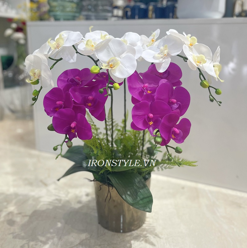 Chậu hoa lan giả 5 cành trắng tím đậm