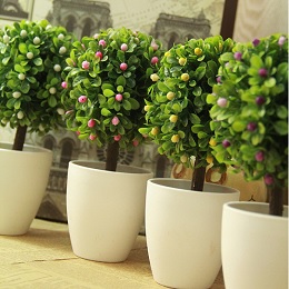Chậu nhựa tròn chấm bi ( hết hàng )